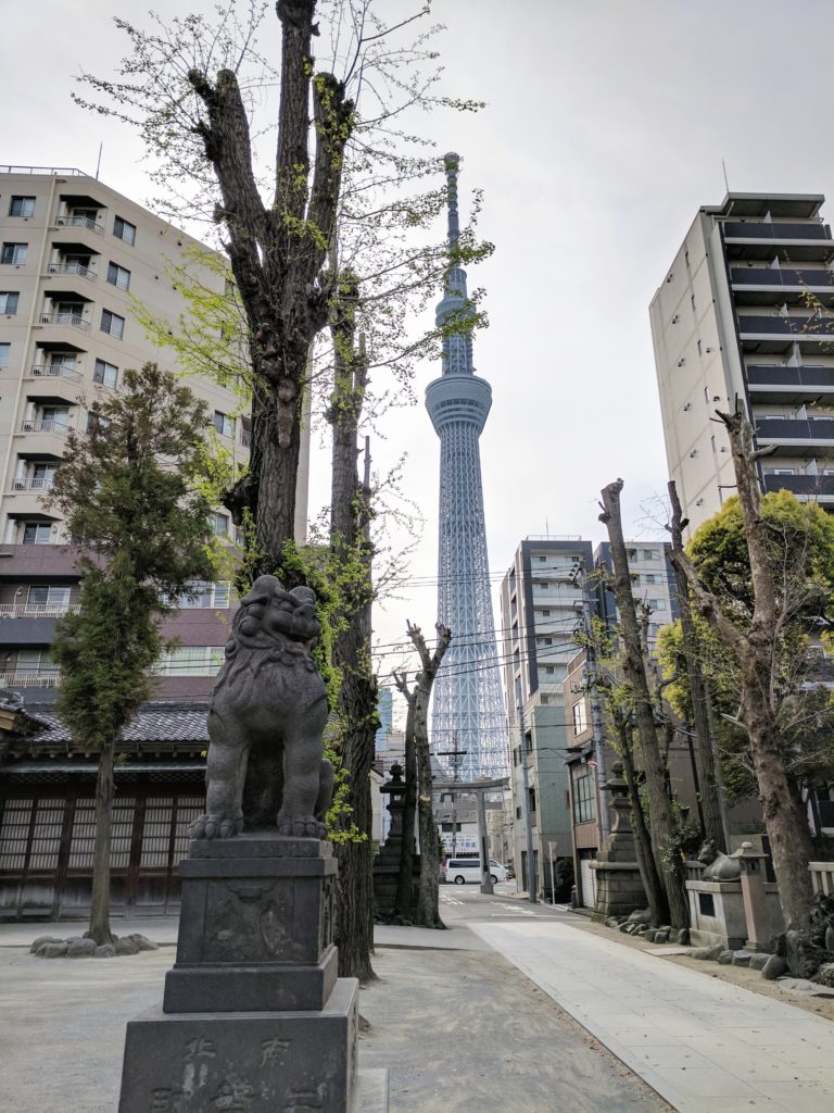 Looking at the skytree down a sidewalk next to a dog statue