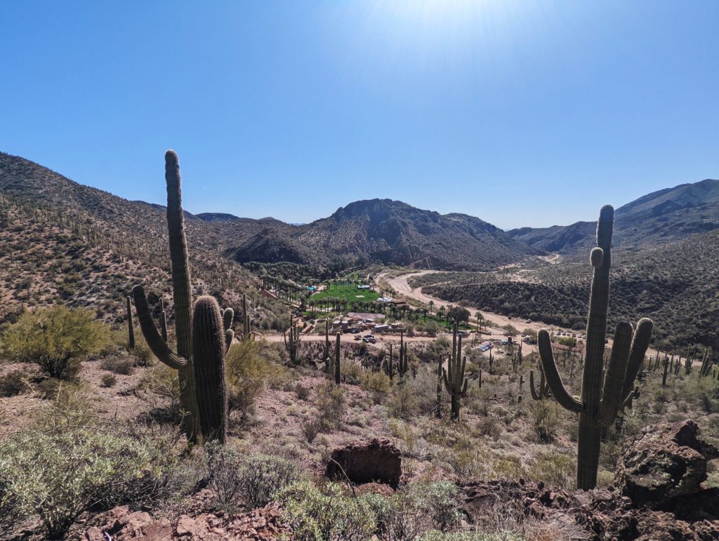 Looking back at the Castle Hot Spring resort from a desert hike. Two cactus are in the foreground, while the resort is visible with it's bright green grass in the background