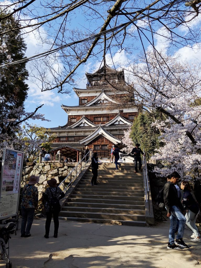 Hiroshima castle located behind some cherry blossom branched. The castle is of traditional Japanese style and is red and white in color