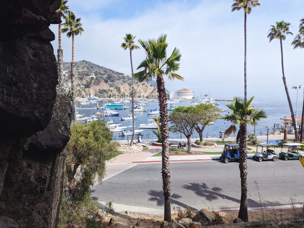 view of Catalina Bay and some palm trees from a small cave by the port