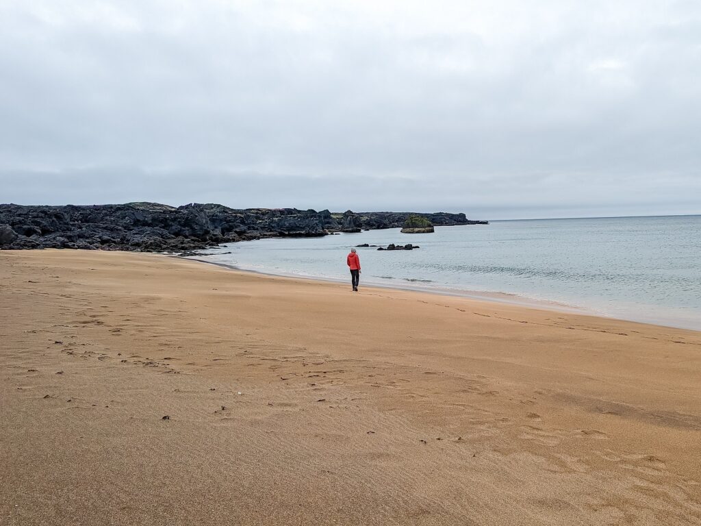 Gabi, The Fringe Explorer, standing far away on a brown sand beach looking towards the ocean on a grey cloudy day. Gabi is wearing a beanie and red puffer jacket