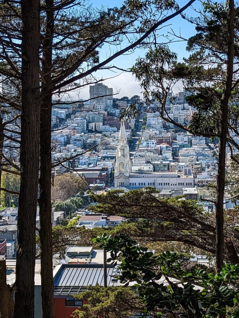 Looking out over the neighborhoods of San Francisco from a viewpoint above the buildings. There is a white church in the mid-ground