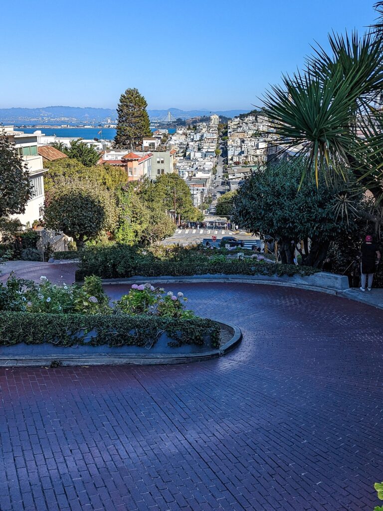 Looking down a brick curved road that is lined with greenery and houses are in the far background