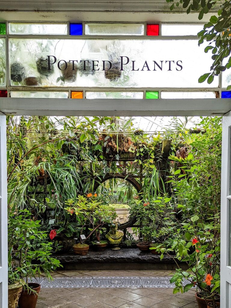 Glass window that says "Potted Plants" and an open white door that is looking into a conservatory room with a bunch of different plants and vines.