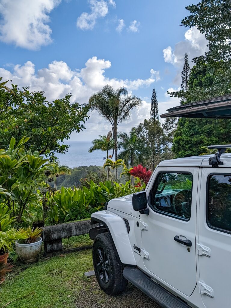 White jeep parked in an nature park looking out over the ocean in the distance with many tropical plants and palms in the foreground