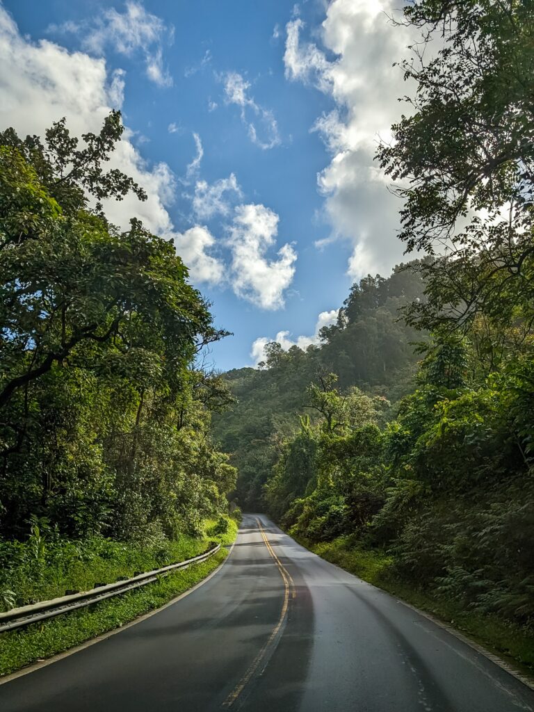 Two lane highway lines with tropical trees and plants. Puffy clouds dot the blue sky