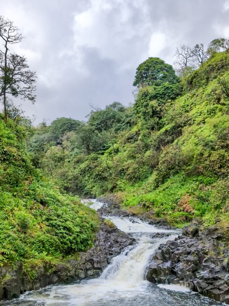 flowing river and small waterfall lined with a rocky bank and tropical plants and trees. The sky is grey and cloudy.