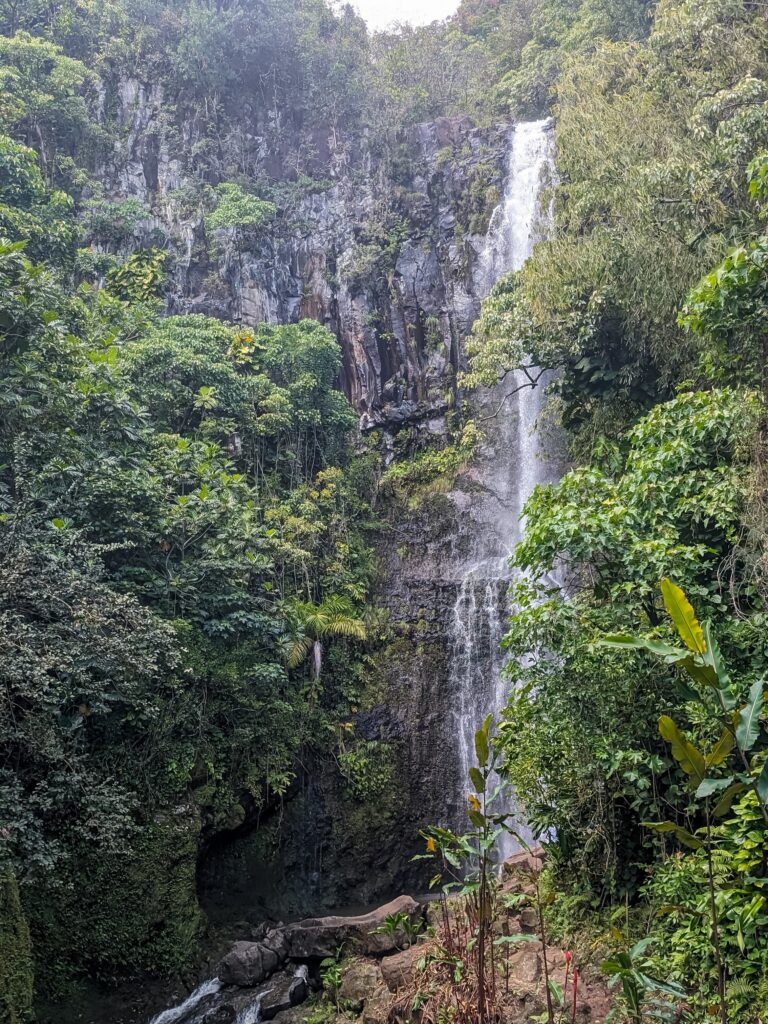 Waterfall peeking out from behind some tropical trees