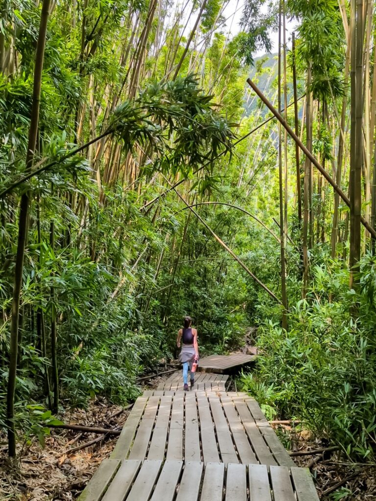 Brown-haired woman carrying a pink water bottle and wearing a black cropped tank top, and teal leggings with a white pineapple print walking along a wooden path through a bright green bamboo forest.