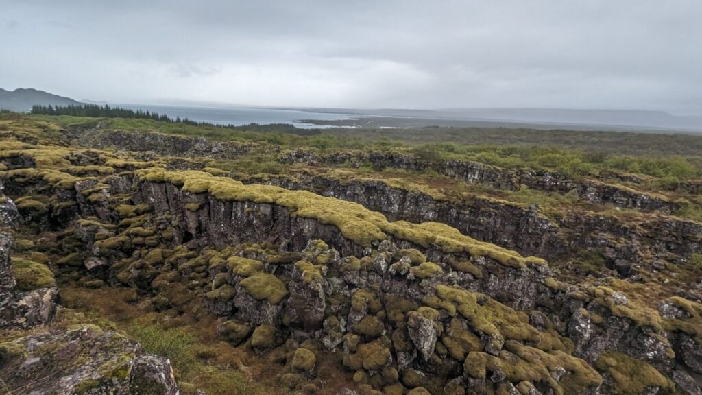 Thingvellir national park. Looking out over moss covered fault lines. There is a lake in the background.