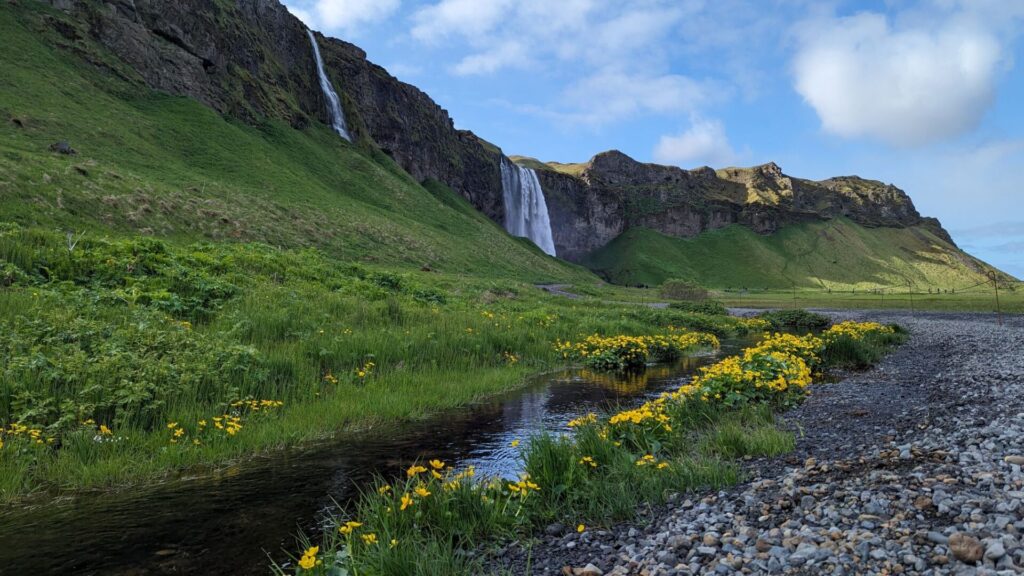 Low photo with yellow flowers, green grass, and a small stream in the foreground. The background has a cliff with two waterfalls cascading over it. The closest waterfall is small while the one in the distance is large.