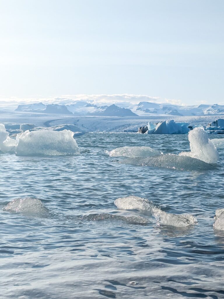 Icebergs floating on a glacial lake with snow capped mountain in the background.