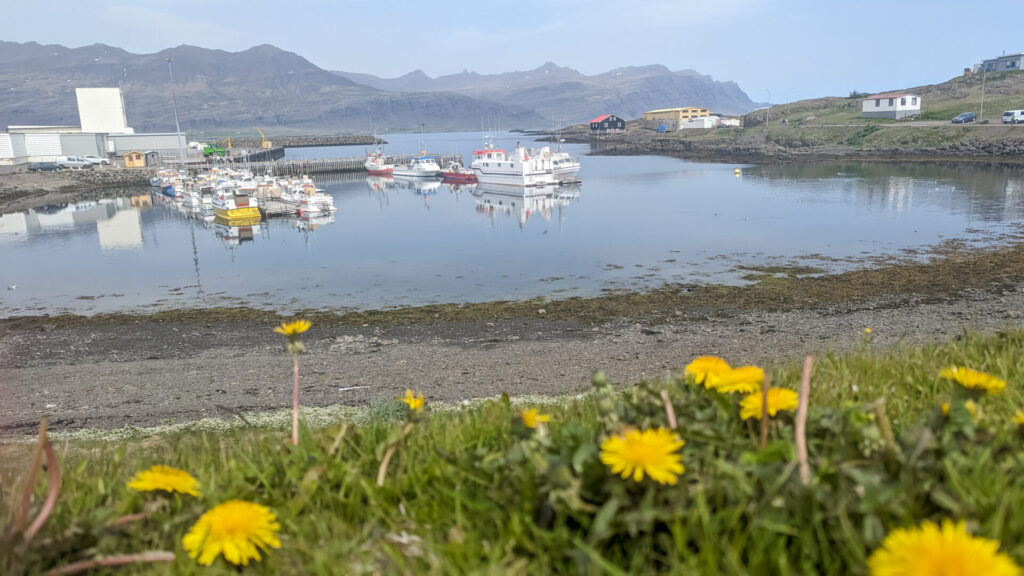 a harbor with a bunch of little boats parked along the two docs. The foreground has dandelions and the background has mountains.