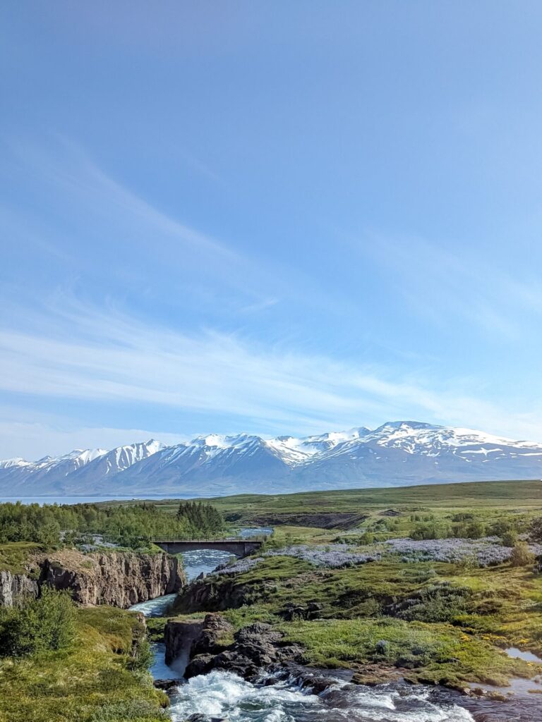 Scenic photo with snow capped mountains int he background. Rolling grassy hills, a river with a small bridge over it, and some purple flowers dotting the field.