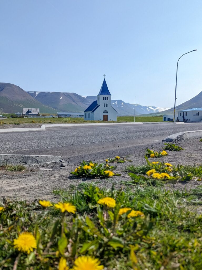 Small white church with a blue roof. Mountains in the background and dandelions in the foreground.