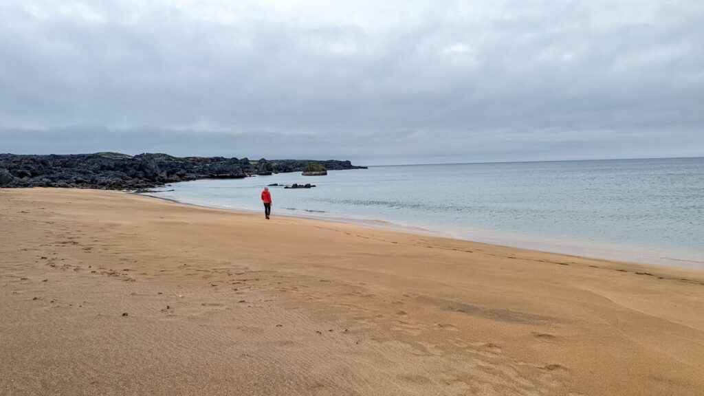 Gabi, a woman in a red puffer jacket, black pants, and a beanie walking down a golden sand beach and looking at the ocean. Black lava rock is on the shore in the far background.