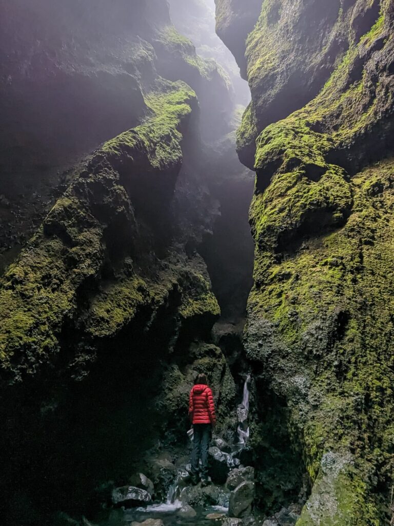 Gabi, a woman in a red puffer jacket, and black pants standing in a mossy foggy forge with a river running around her.