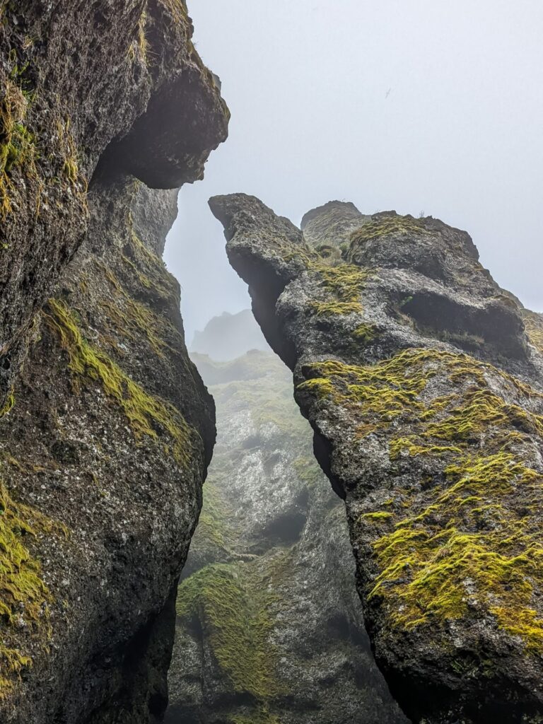 Looking up at the entrance to a mossy foggy gorge.