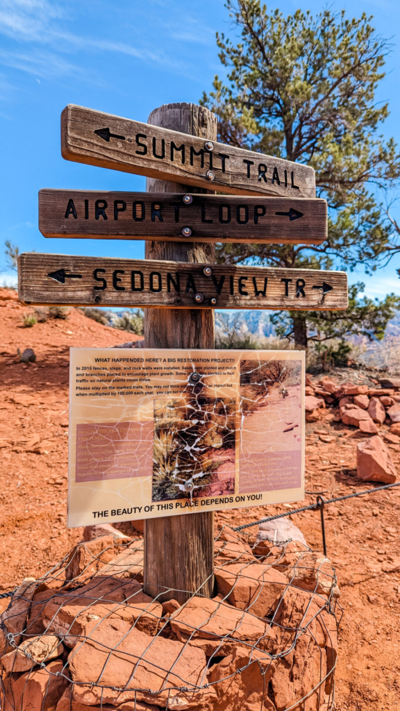 A close-up vertical shot of a rustic wooden signpost on red dirt. Three carved directional signs point toward "Summit Trail," "Airport Loop," and "Sedona View Tr," above an educational restoration sign mounted on the post, framed by a clear blue sky and pine tree.