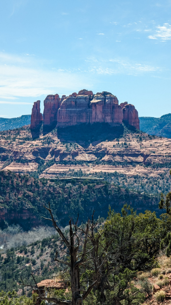 A wide vertical landscape shot featuring the iconic, massive red rock structure of Cathedral Rock in the background. In the foreground, green desert shrubs and weathered trees line a high ridge overlooking the valley under a bright, wispy blue sky.