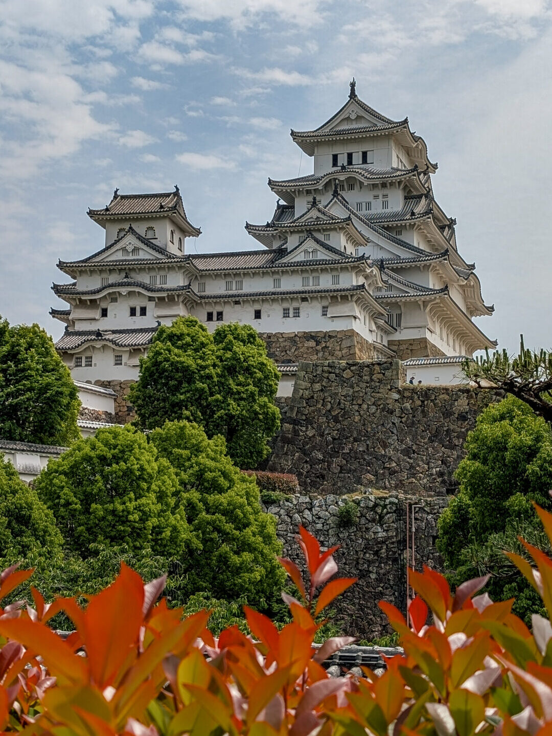 Himeji Castle, an intricate white Japanese style wood castle on top of a hill with stone walls and green trees and red leaf bushes in the foreground
