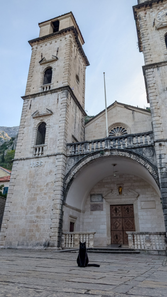 A black cat sitting in the stone plaza in front of the historic St. Tryphon Cathedral in Old Town Kotor, Montenegro.