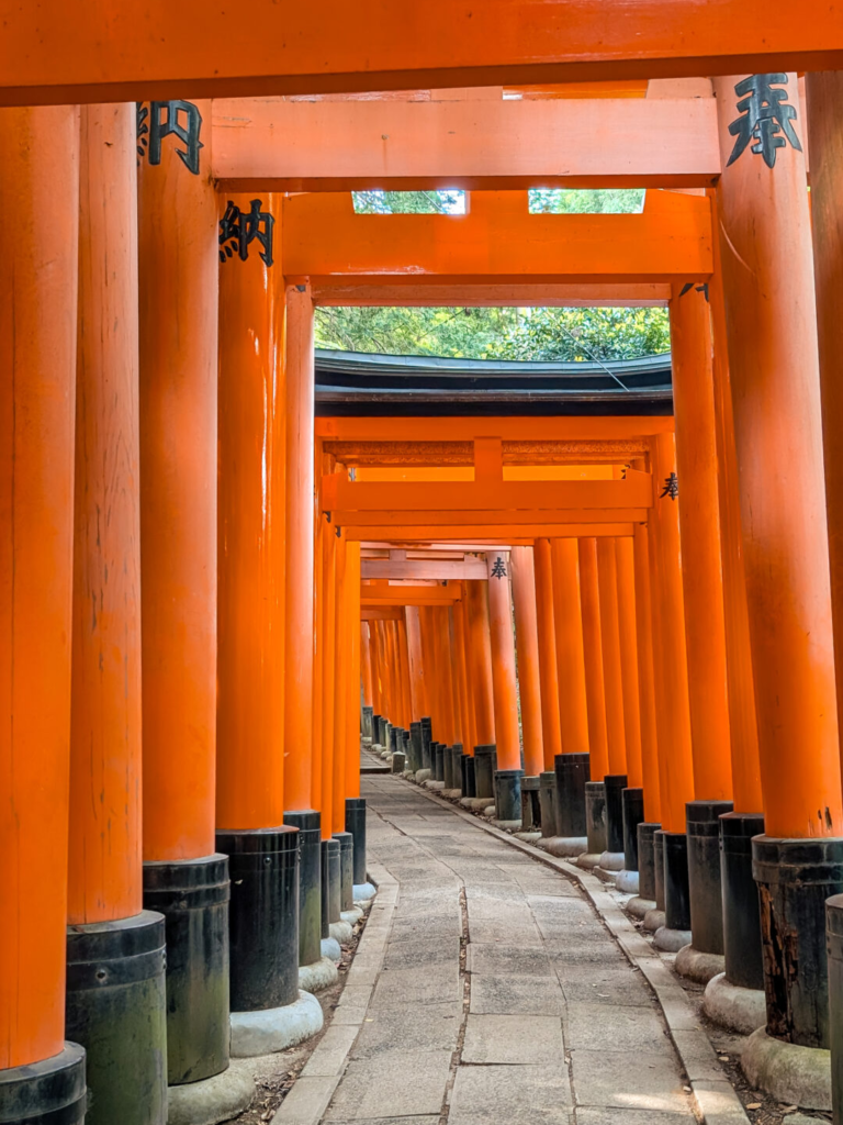 A stone pathway curving through an empty corridor of vibrant orange Torii gates at Fushimi Inari Shrine in Kyoto.