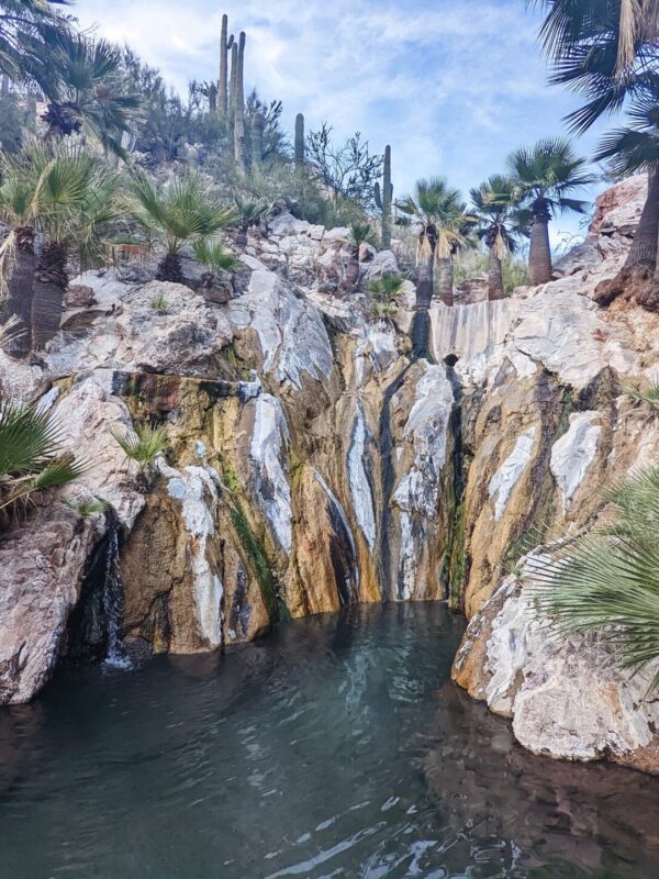 The main hot spring at Castle Hot Springs resort