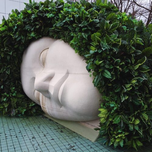 Art piece of a large stone face laying on it's side in water with green leaves for hair