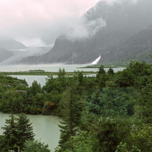 A foggy and rainy day in Alaska, looking out over green trees and a glacier lake towards the Mendenhall Glacier and a waterfall. The glacier is covered by fog.