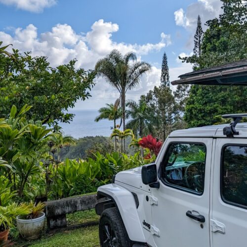 White jeep parked in an nature park looking out over the ocean in the distance with many tropical plants and palms in the foreground